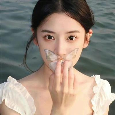 火蝴蝶2008