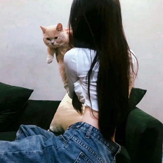犯罪记录